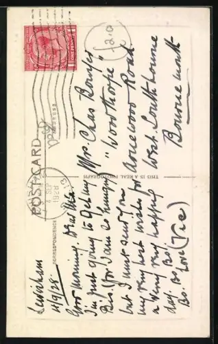 AK Terrier und Katzenkinder, Geburtstagsgruss