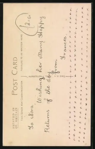 AK Aye Ready, Terrier, Portrait