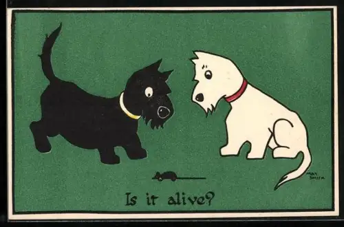 AK Zwei Scotchterrier betrachten eine Maus