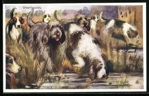 AK Otterhounds am Wasser, Jagdszene