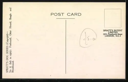 AK Dogs of the Chase, Foxhound, Otter Hound, Beagle and Bloodhound