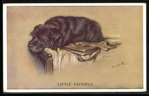 AK Little Faithfurl, Terrier, Portrait