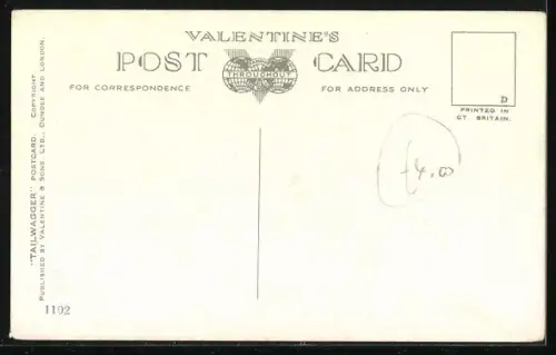 AK Little Faithfurl, Terrier, Portrait