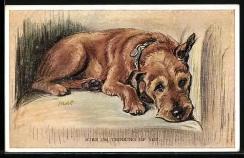 AK Sure I`m Thinking of You, Terrier