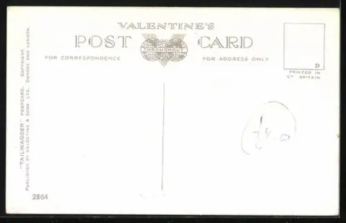 AK Sure I`m Thinking of You, Terrier