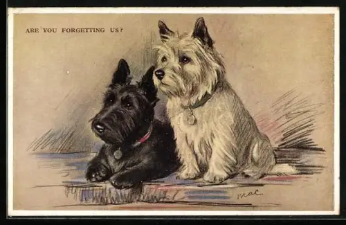 AK Are You Forgetting Us?, Scotchterrier and Yorkshire Terrier