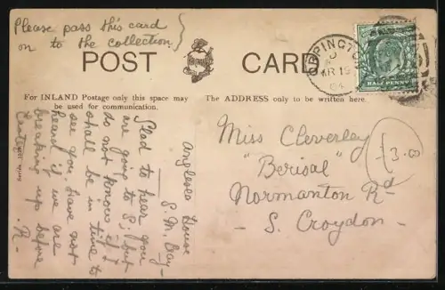 AK Champion Fairy, Windhund in aufrechter Haltung