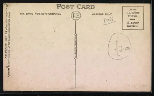 AK San Toy, Pekinese, Portrait