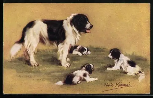 AK Bernhardiner mit seinen Welpen afu einer Wiese