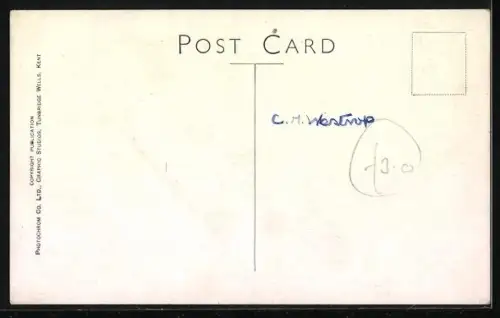 AK Bernhardiner mit seinen Welpen afu einer Wiese