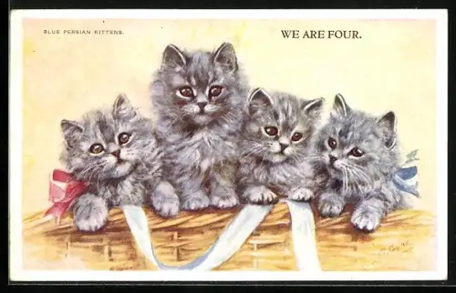 AK We Are Four, Blue Persian Kittens