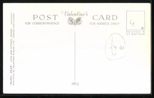 AK We Are Four, Blue Persian Kittens