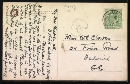 AK Katzen, No Ma`am, we aint seen your Birdie...