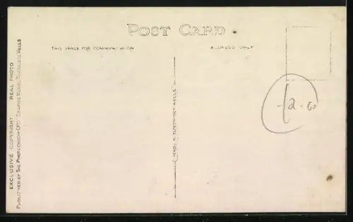 AK Bernhardiner mit Welpe auf einer Landstrasse