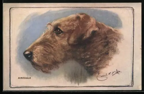 Künstler-AK Terrier, Airdale, Hundekopf im Profil