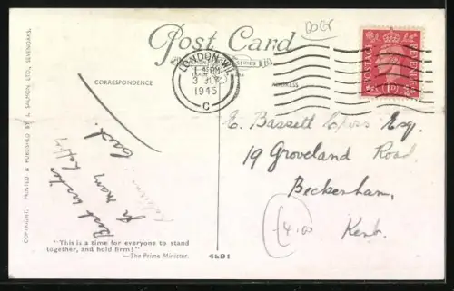 Künstler-AK Terrier, Airdale, Hundekopf im Profil