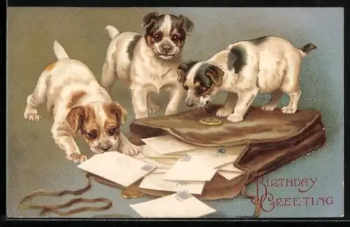 AK Terrierwelpen zerpflücken die Tasche des Briefträgers