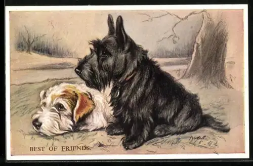 AK Best of Friends, Zwei Terrier