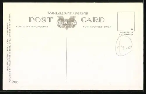 AK Best of Friends, Zwei Terrier