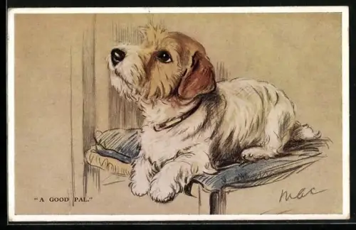 AK A Good Pal, Terrier