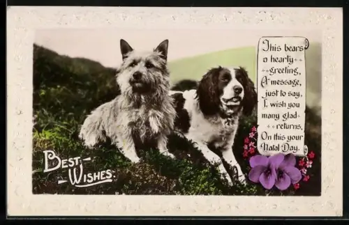 AK Yorkshire Terrier mit einem Gefährten im Freien