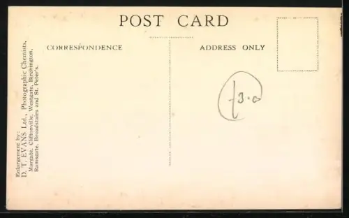 AK Terrier mit Futternapf im Garten