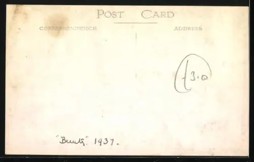 Foto-AK Terrier, Portrait 1937