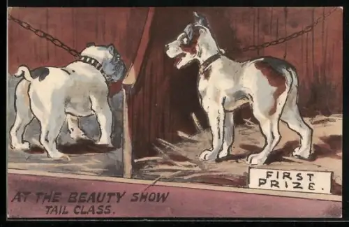 AK Hundeschau, Bulldogge und weiterer Hund