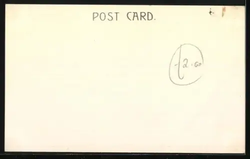 AK Foxterrier auf einem Tisch im Freien