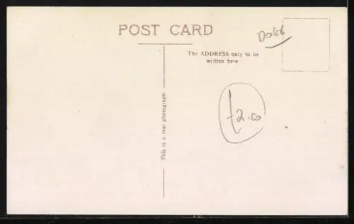 AK Spitzpaar mit Welpe auf einer Steinplatte