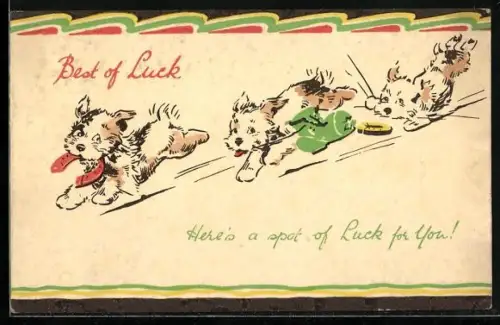 AK Yorkshire-Terrier auf wilder Jagd mit Hufeisen