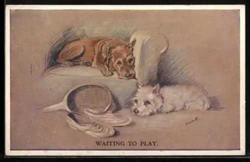 AK Waiting To Play, Zwei Terrier