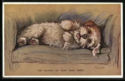 AK Terrier macht es sich auf einem Sessel gemütlich