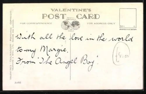 AK Terrier macht es sich auf einem Sessel gemütlich