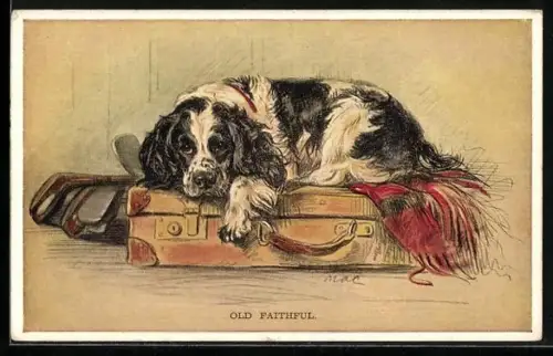 AK Old Faithful, Spaniel auf einem Koffer, Golfschläger