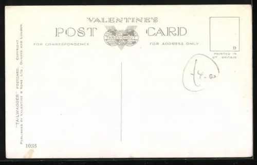 AK Old Faithful, Spaniel auf einem Koffer, Golfschläger