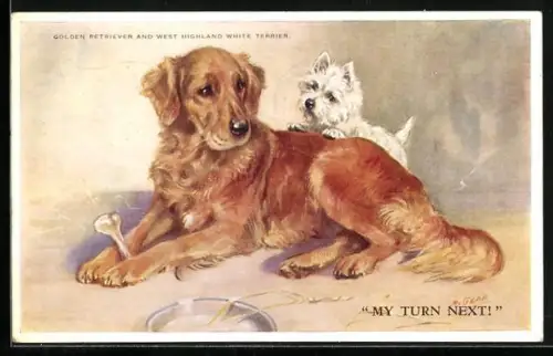 AK Golden Retriever and West Highland White Terrier