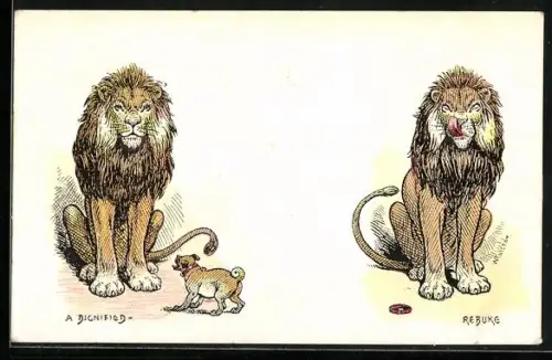 AK Löwe und bellender kleiner Hund, Löwe leckt sich die Lippen nach der Mahlzeit, Bilderfolge