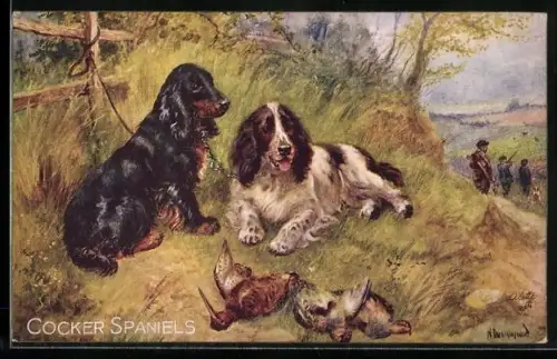 AK Cocker Spaniels, Jagdhunde
