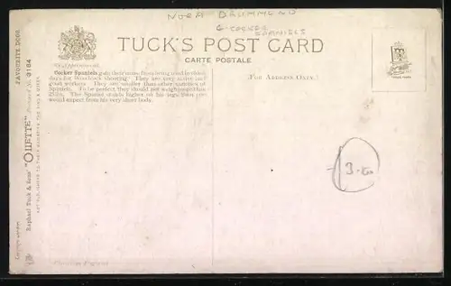 AK Cocker Spaniels, Jagdhunde