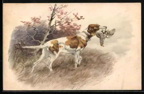 AK Jagdhund mit Vogel in der Schnauze