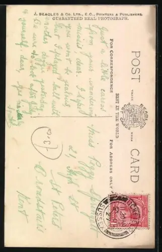 AK I took Proceedings..., Verletzter Hund liegt mit Verband im Bett