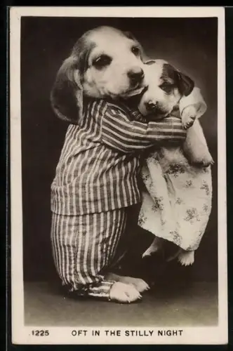 AK Zwei bekleidete Hundewelpen Arm in Arm, Beagle