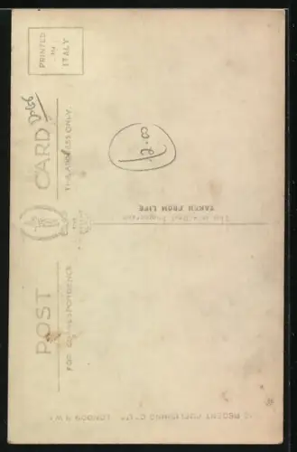 AK Zwei bekleidete Hundewelpen Arm in Arm, Beagle