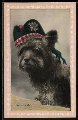 AK One o` the Jocks, Terrier mit Mütze