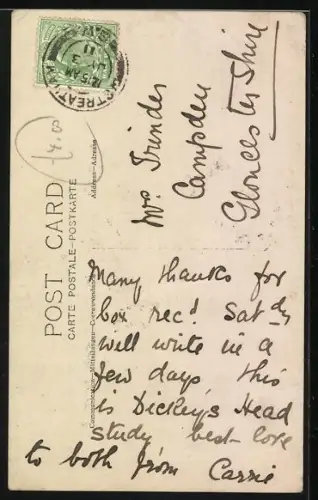 AK Bulldogge, Portrait