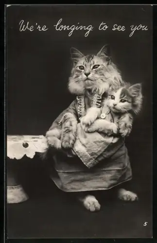 AK Bekleidete Katzenmutter mit bekleidetem Jungen