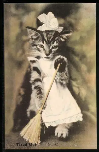 AK Tire Out, Katze verkleidet als Dienstmädchen