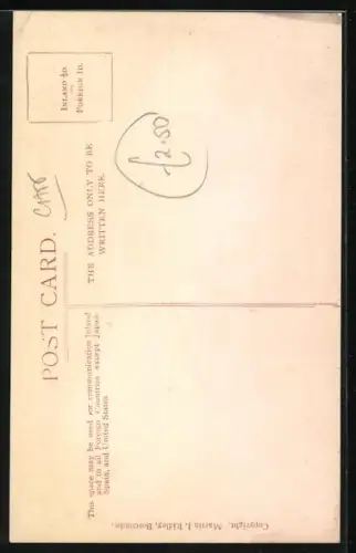 AK Tire Out, Katze verkleidet als Dienstmädchen