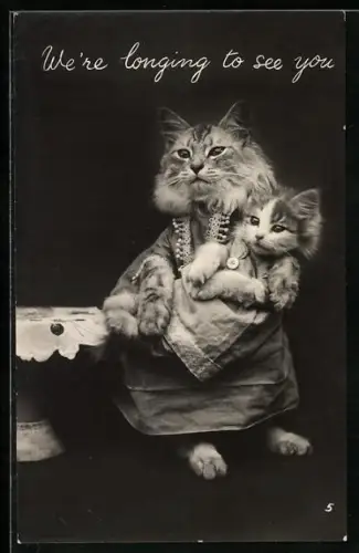 AK Bekleidete Katzenmutter mit Jungem im Arm